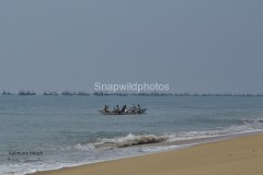 SRI LANKAN SCENERIES